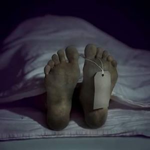 Meet your Posher, Carmen